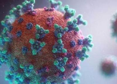ویروس کرونای هیبرید هندی - کالیفرنیایی چیست؟