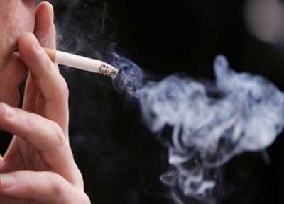 کاهش سن استعمال دخانیات در کشور ، کارخانه های سیگار ژاپنی ها در مناطق آزاد ایران