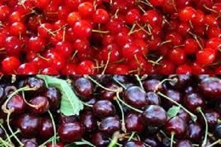 خوردن این خوراکی ها با گیلاس خطرناک است خوردن این خوراکی ها با گیلاس خطرناک است
