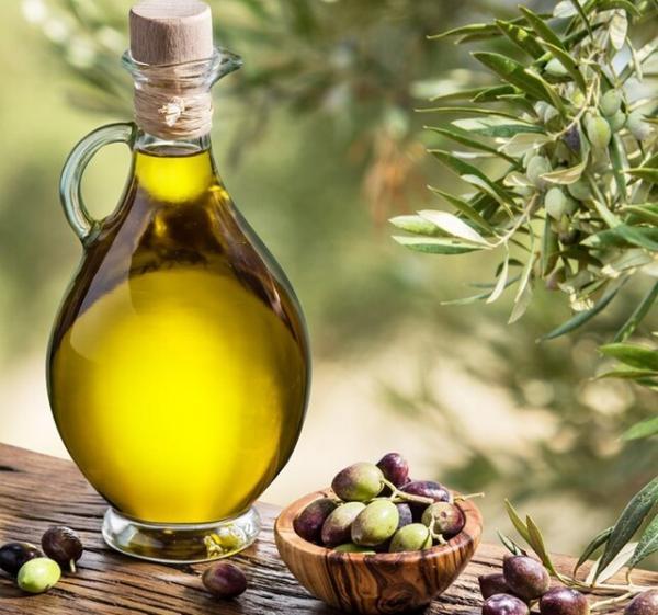 افزایش نیافتن تولید روغن زیتون در گیلان افزایش نیافتن فراوری روغن زیتون در گیلان