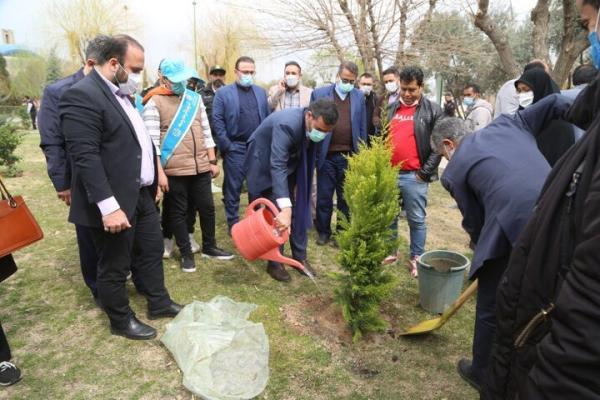 کاشت 5 هزار نهال مثمر و غیرمثمر در منطقه 15 در هفته درخت کاری