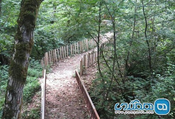 پارک جنگلی بی بی یانلو یکی از تفرجگاه های استان گیلان به شمار می رود