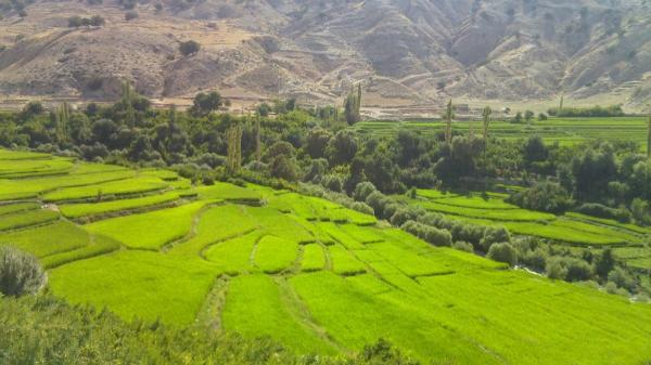 باغملک خوزستان ، از دل منجنیق و داستان نمرود